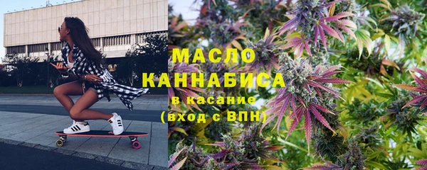 индика Билибино