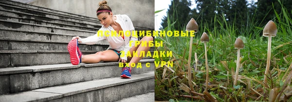 apvp Михайловск