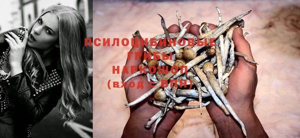 спиды Михайловка