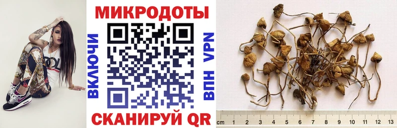 Псилоцибиновые грибы мицелий  Купить где  Заволжск 