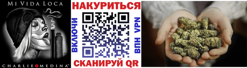 Купить где  Заволжск  Канабис OG Kush 